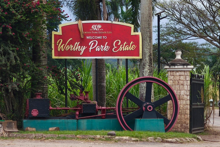 Worthy Park Estate Rum Distillery Tour with Tasting