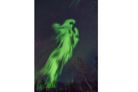 Tromso Persecución en Gran Autobús de la Aurora Boreal con Fotos Gratis