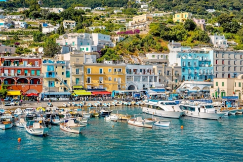 De Positano : Excursion d'une journée à Capri - Excursion de groupe en bateauVisite de Capri en petit groupe par bateau