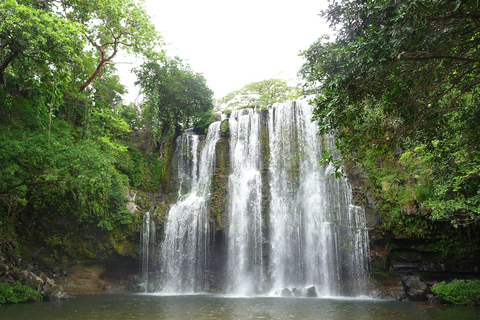 Guanacaste: Sloth Sanctuary and Waterfall Adventure