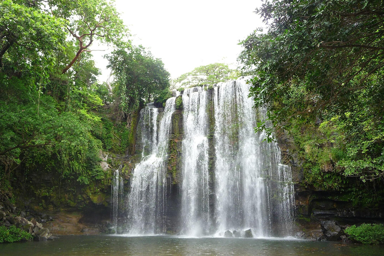 Guanacaste: Sloth Sanctuary and Waterfall Adventure