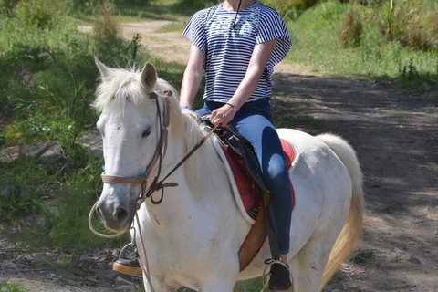 Pamucak: Horseback Riding Tour with Beach Swim