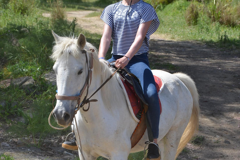 Pamucak: Horseback Riding Tour with Beach Swim