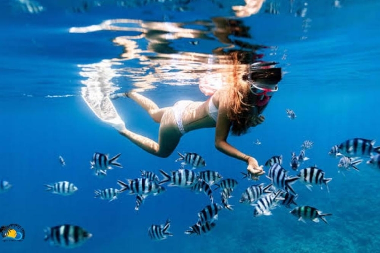 Zanzibar: Tumbatu Island Swimming and Snorkeling | Half day Tumbatu Island Swimming and Snorkeling