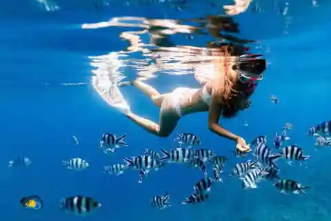 Zanzíbar: Natación y snorkel en la isla de Tumbatu | Medio día