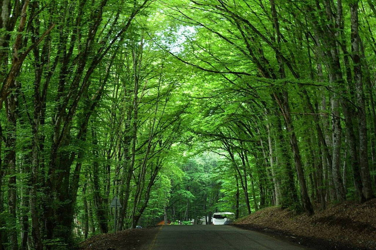 Desde Bakú: Guba-Khinalig , excursión de un día a la Montaña del Bastón de Caramelo