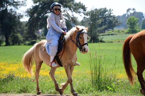 Marmaris: Horseback Riding Tour with Hotel Pickup