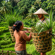 Bali: Full-Day North Bali Private Customized Tour