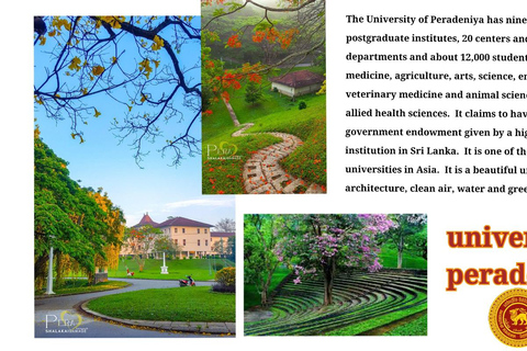 Kandy: City Tour with Temple of the Tooth & Tea Garden