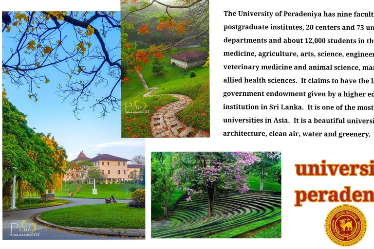 Kandy: City Tour with Temple of the Tooth & Tea Garden