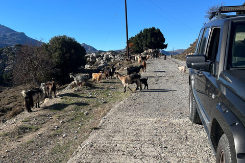 Kreta: Jeep Safari Tour mit Mittagessen, Getränken und TransferJeep Safari Private Tour mit Mittagessen, Getränken und Transfer