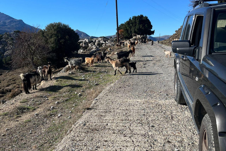 Crète : Safari en Jeep avec déjeuner, boissons et transfertSafari en jeep semi-privé avec déjeuner, boissons et transfert