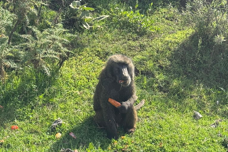 Addis Abeba: Tagestour in den Menagesha Suba Forest mit Guide