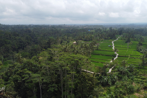 Bali: Tegenungan Waterfall, Ubud, and Rice Fields Tour