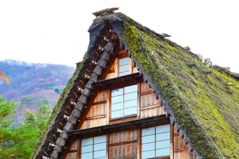 From Kanazawa: Shirakawa-go and Takayama Private Day Trip