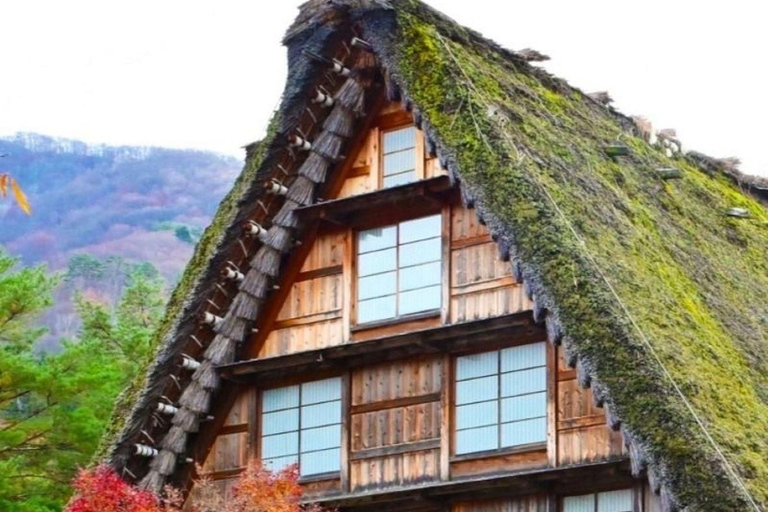 From Kanazawa: Shirakawa-go and Takayama Private Day Trip