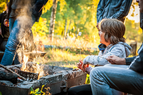 Depuis Stockholm : safari et dîner avec feu de camp