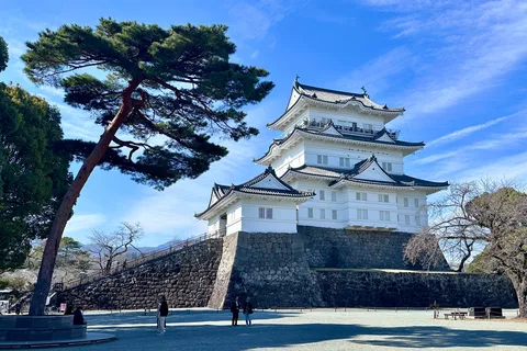 2日間 東京 富士山 箱根 小田原 鎌倉 温泉旅館