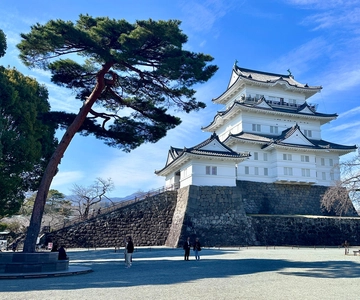 2 dias Tóquio Mt. Fuji Hakone Odawara, Kamakura, Onsen Ryokan