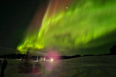 روفانييمي: مطاردة الشفق القطبي الشمالي مع خدمة التوصيل من الفندق