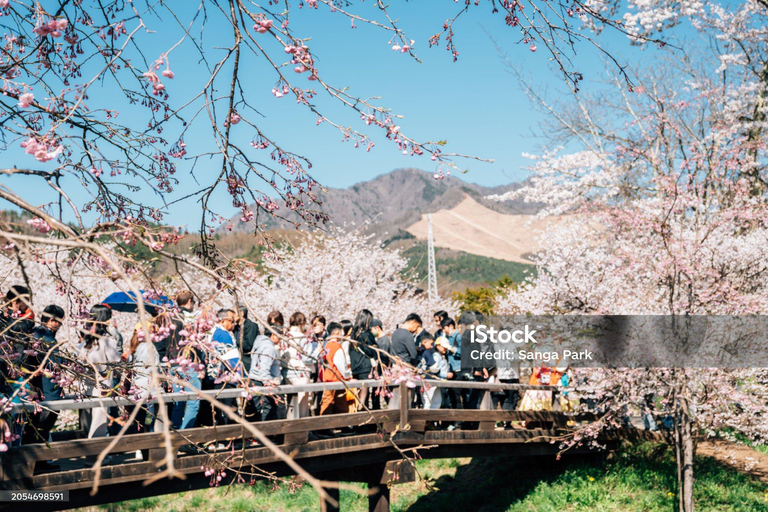 Mt Fuji Photography & Pilgrimage One-Day Tour From Tokyo Departure From Tokyo Station