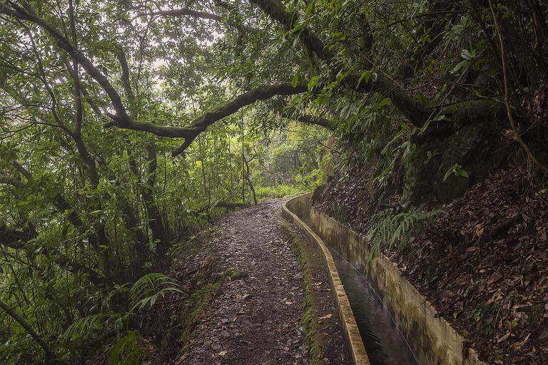 Ribeiro Frio to Portela: Self Guided Hike w/ Transfers