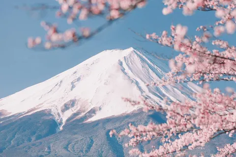 Mount Fuji Sightseeing Private Trip with English Guide