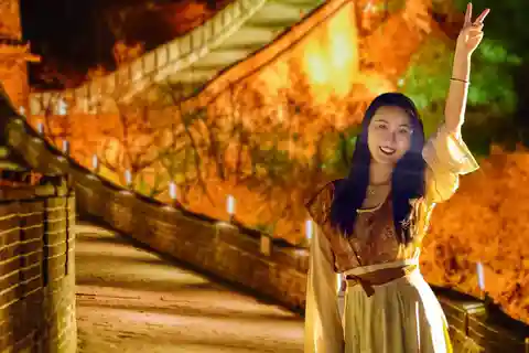 De Pequim：Excursão noturna de ônibus pela Grande Muralha de Badaling-16:30