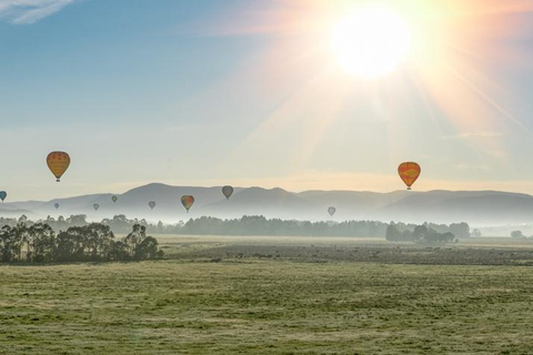 Valle del Yarra: Experiencia en globo aerostático con desayuno