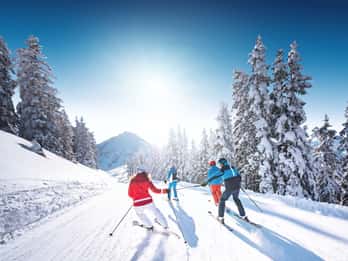 From İstanbul: Bursa Uludağ Mountain Tour & Cable Car Ride