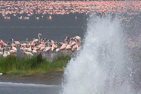 Private Day Tour to Lake Baringo from Nairobi