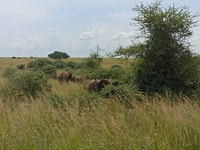2-Tage See Mburo Wildlife Safari - Hizvo