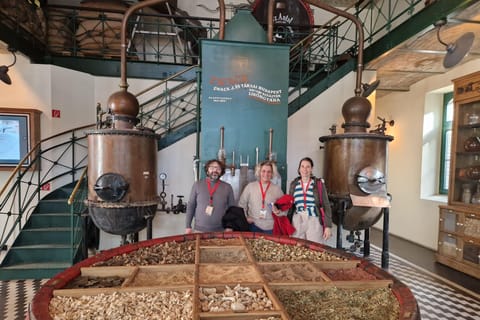 Budapest: Past & Future Tour with Unicum Tasting & MOL Visit
