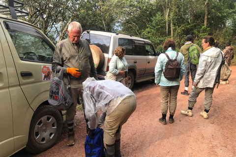 1 dagstur med gorillavandring i Bwindi från Kigali