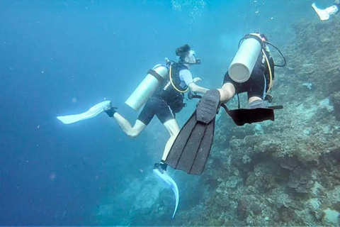 Cebu: mergulho em Moalboal, corrida das sardinhas e mergulho com snorkel no PescadorMoalboal: Mergulho em Sardine Run e Snokel na Ilha do Pescador