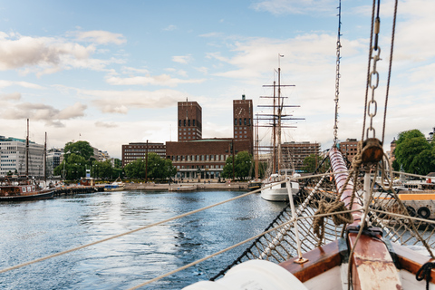 Oslo: avondtocht van 3 uur per boot door fjorden, met buffet