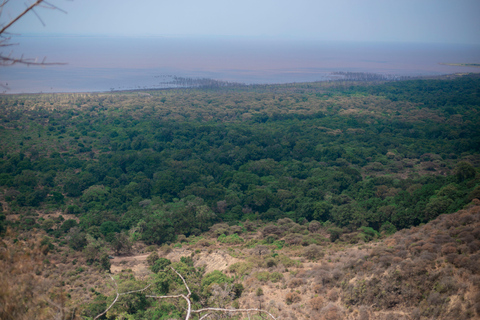 Tanzania: 6-Day Mid-Range Lodge Safari with Meals