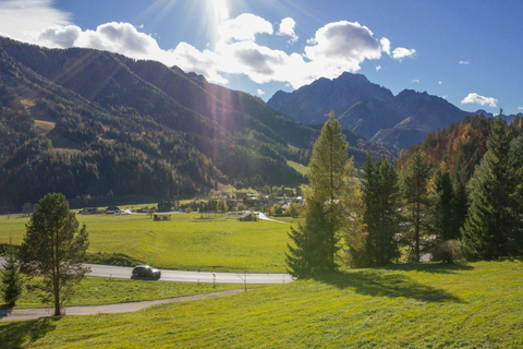 From Bled/Bohinj: Julian Alps & Italy Day Trip with Guide