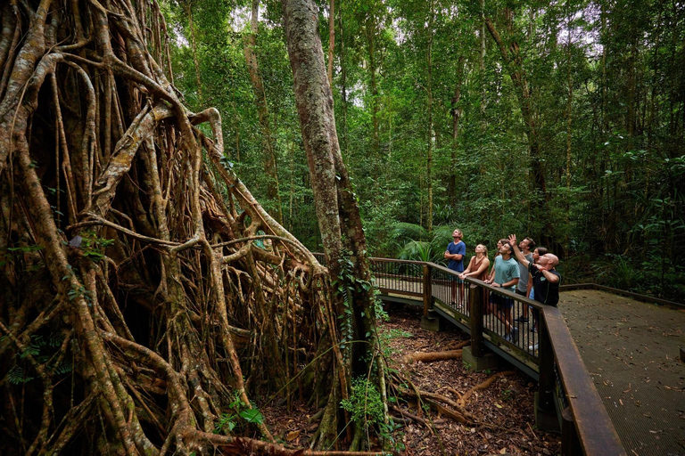 Z Cairns: Atherton Tablelands Eco-Adventure &amp; Swim Tour (Eko-przygoda i pływanie w Atherton Tablelands)