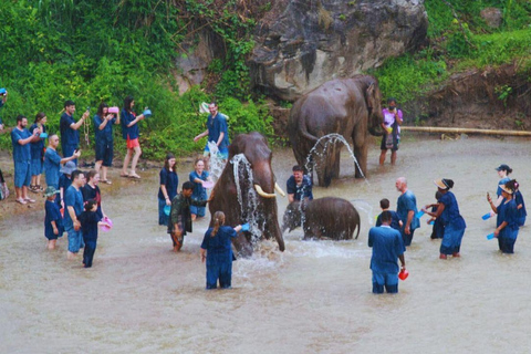 Chiang Mai: Full Day Living Green Elephant Sanctuary Chiangmai: Full Day Living Green Elephant Sanctuary