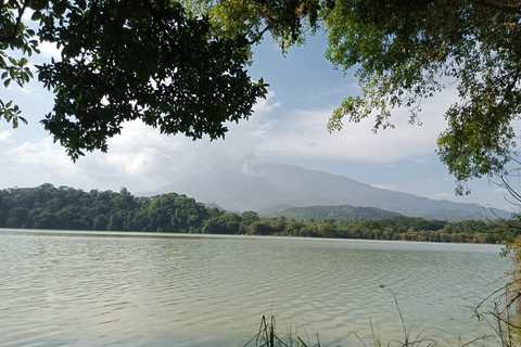 Arusha: Lake Duluti Canoeing Adventure with Picnic Lunch