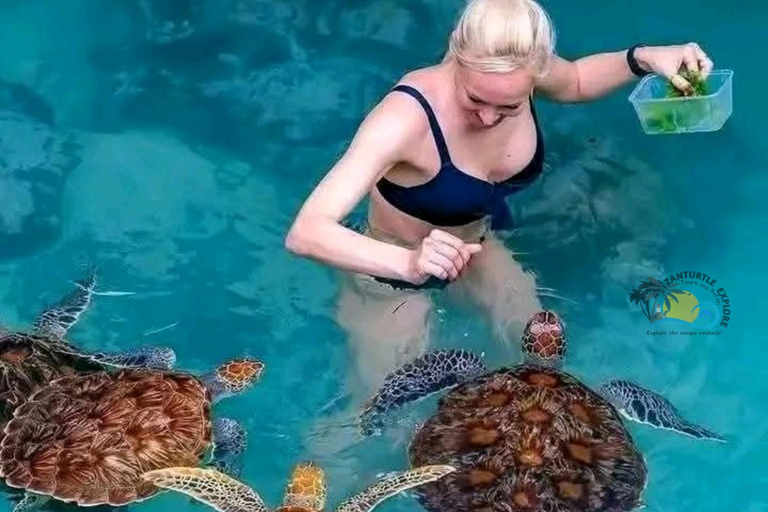 زنجبار: البحيرة الزرقاء ونجم البحر وكهف كوزا وسباحة السلاحفالنقل إلى الفندق داخل المنطقة الجنوبية