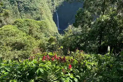 La Paz vattenfall och Cinchona-tur