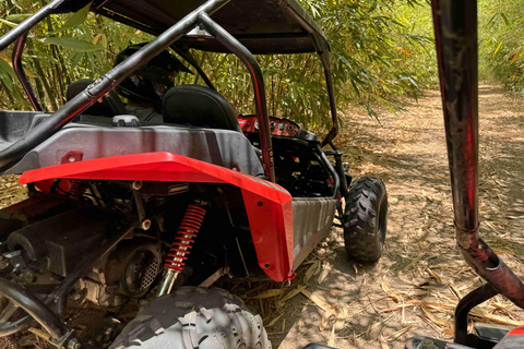 Bamboo Dune Buggy Tour