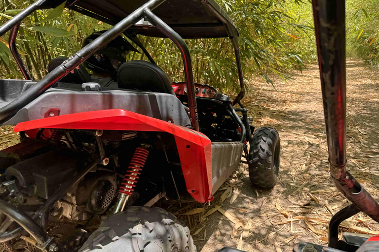 Bamboo Dune Buggy Tour