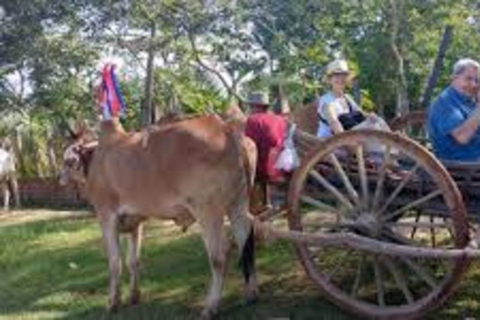 Siem Reap: Homestay Experience with Local style