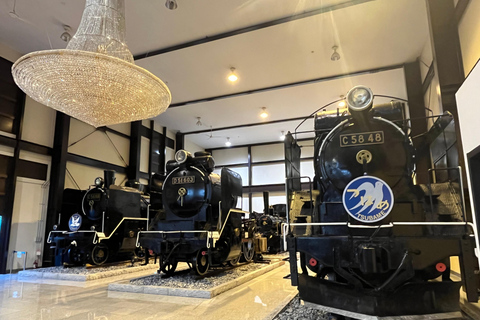 نارا وأراشيياما: جولة بالحافلة لمشاهدة الغزلان والخيزران والمعابدمن كيوتو