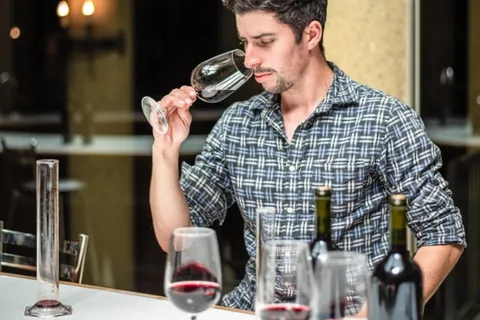 Tour del vino nella Valle di Maipo