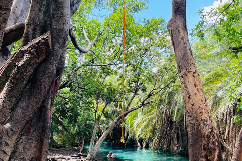 Tour delle sorgenti termali di Moshi/Arusha kikuletwa