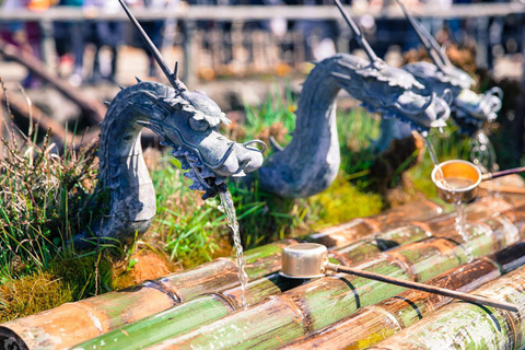 Mt Fuji Photography & Pilgrimage One-Day Tour From Tokyo Departure From Tokyo Station